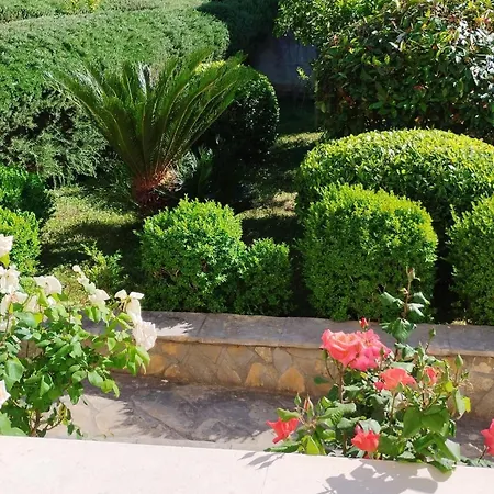 Antonio - Τρογκίρ