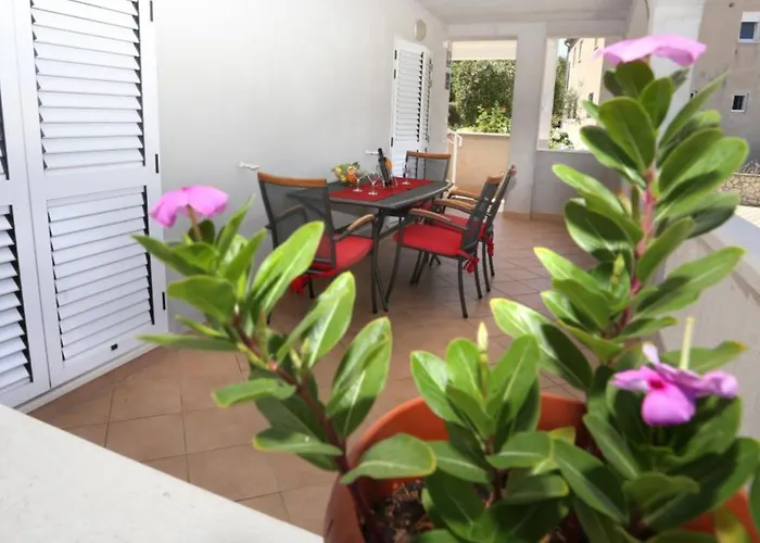 Antonio - * Τρογκίρ